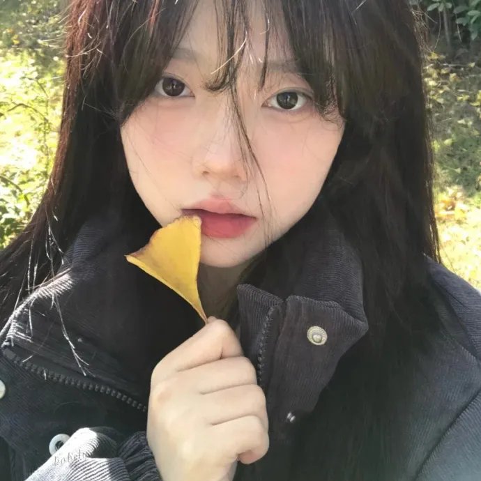 纪录综艺